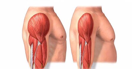 How long will it take to regain lost muscle (eg, during lockdown)?