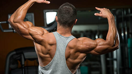 Does having muscles REALLY ‘torch’ body fat?