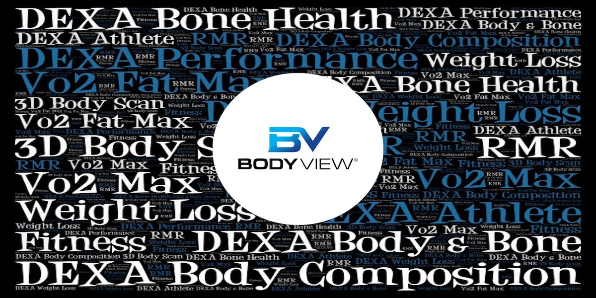 BodyView Services That Help You Understand What Is Really Going On Inside Your Body