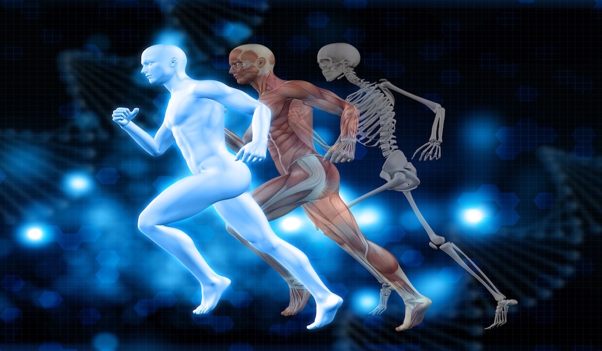 Bone Health Matters: Why DEXA Scans Are Essential in the UK