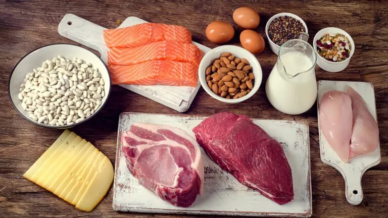 protein sources for building muscle