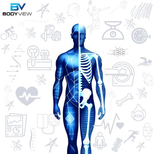Consider a Body Scan as Your Benchmark for a Healthier You to Start Your New Year.