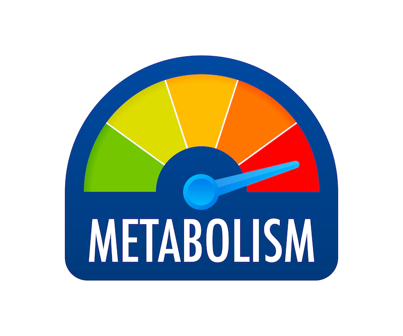 All Things Metabolism