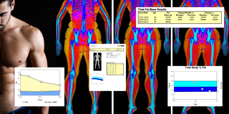 What Does A DEXA Body Scan Show Me?