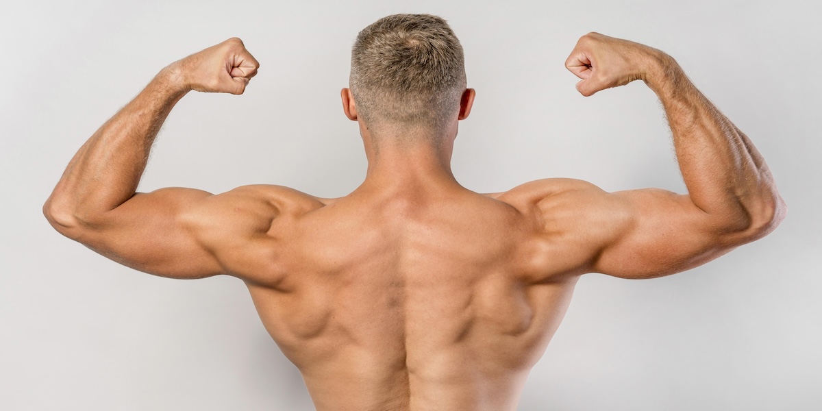 What Are Our Muscles Made Of? Functions, Fascinating Facts, and Why Measuring Them Matters