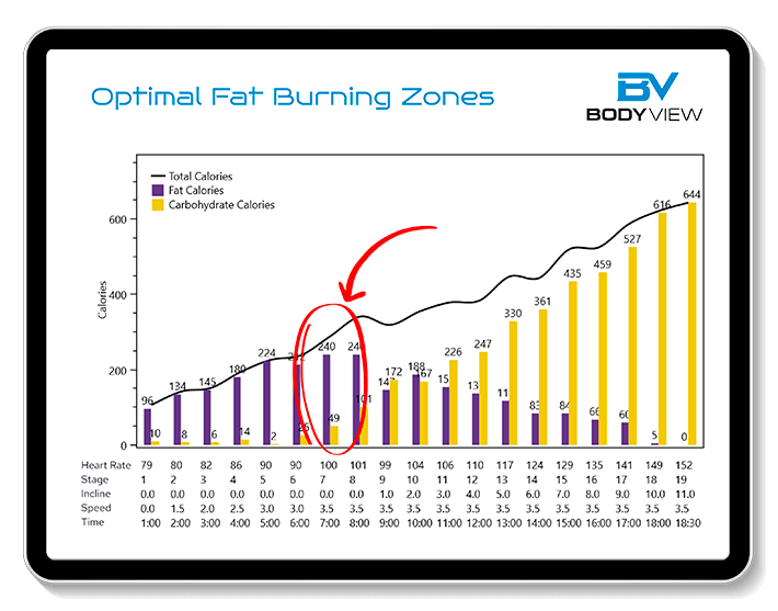 DEXA Weight Loss Bundle test results report